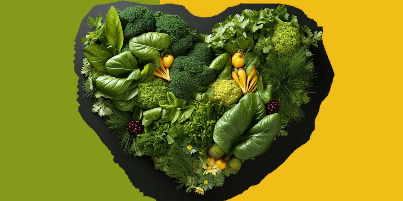 zana nutritia